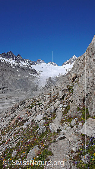 Foto: Bergweg am Oberaarsee mit Blick zu Roossehörner, Oberaar-Rothorn, Nollen, Oberaargletscher mit Gletscherzunge und Gletschervorfeld, Oberaarjoch und Oberaarhorn.
