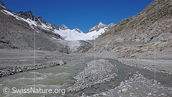 Foto: Gletschervorfeld mit Gletscherbach, Gletschertor und Gletscherzunge des Oberaargletschers. Im Hintergrund sind Roossehörner, Oberaar-Rothorn, Nollen, Oberaarjoch und Oberaarhorn zu sehen.