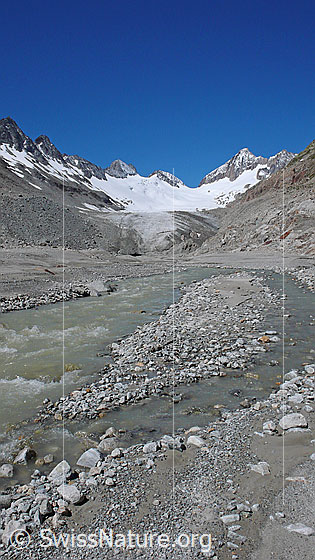 Foto: Schwemmlandschaft mit Gletscherbach im Vorfeld des Oberaargletschers. Im Hintergrund sind Gletschertor und Gletscherzunge sowie Roossehörner, Oberaar-Rothorn, Nollen, Oberaarjoch und Oberaarhorn zu sehen.
