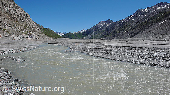 Foto: Flusslandschaft mit Kies und Sandablagerungen im Gletschervorfeld. Im Hintergrund ist das Sidelhorn zu sehen.