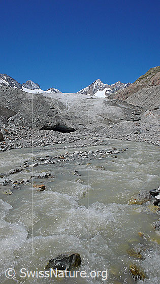 Foto: Gletscherbach mit frischem Gletscherwasser und Gletscherzunge mit Gletschertor des Oberaargletschers. Im Hintergrund ist das Oberaarhorn zu sehen.