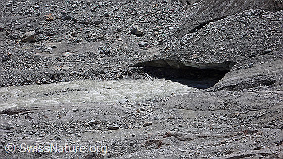 Foto: Das Gletschertor des Oberaargletschers entlässt Gletschermilch in die karge Landschaft. Das Eis ist mit Gesteinsschutt bedeckt.