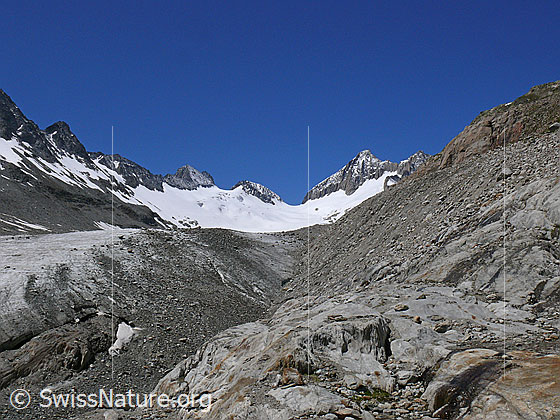 Foto: Gletscherrand, Seitenmoräne und Gletscherschliff des Oberaargletschers. Im Hintergrund sind Oberaar-Rothorn, Nollen, Oberaarjoch und Oberaarhorn zu sehen.