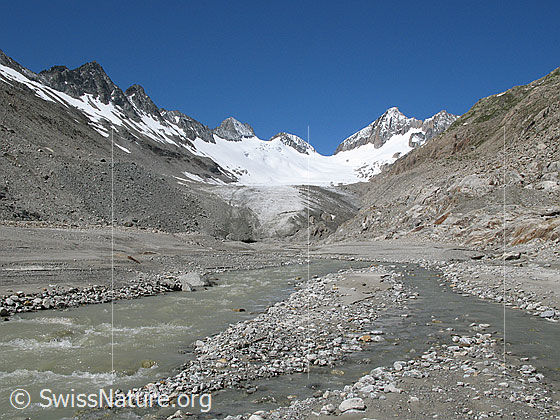 Foto: Gletschervorfeld, Gletscherbach, Gletschertor und Gletscherzunge des Oberaargletschers. Im Hintergrund sind Roossehörner, Oberaar-Rothorn, Nollen, Oberaarjoch und Oberaarhorn zu sehen.