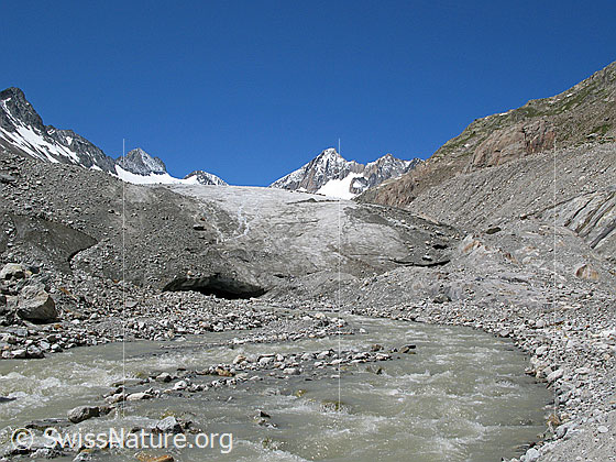 Foto: Gletschertor und Gletscherbach des Oberaargletschers. Im Hintergrund sind Roossehörner, Oberaar-Rothorn, Nollen und Oberaarhorn zu sehen.