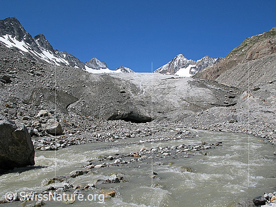 Foto: Gletschertor, Gletscherbach und Gletscherzunge des Oberaargletschers. Im Hintergrund sind Roossehörner, Oberaar-Rothorn, Nollen und Oberaarhorn zu sehen.
