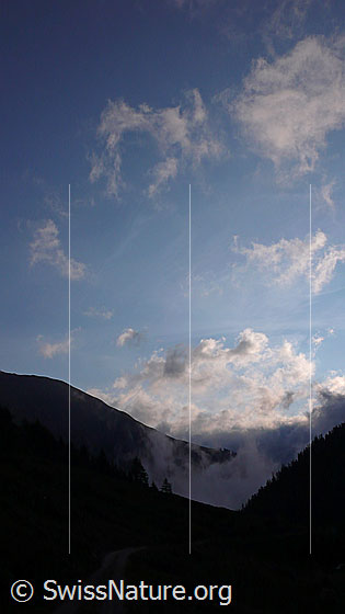 Foto: Morgenstimmung im Saflischtal mit Wolkendecke über dem Binntal.