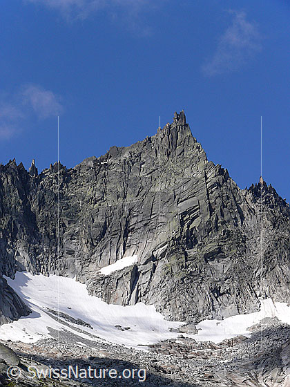 Foto: Brünberg von NE