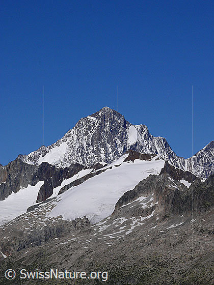 Foto: Finsteraarhorn und Scheuchzerhorn von Osten.
