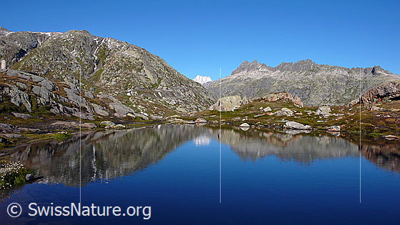 Foto: Bergsee auf dem Grimselpass mit Spiegelung der Berglandschaft (Brünberg).