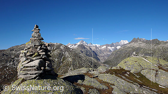 Foto: Steinmann, Finsteraarhorn und Schreckhorn.