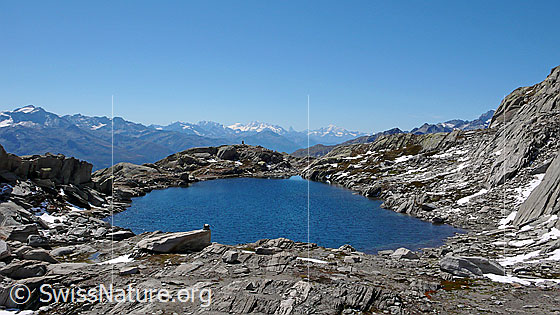 Foto: Felsige Landschaft mit Bergsee und Aussicht auf die Walliser Alpen.