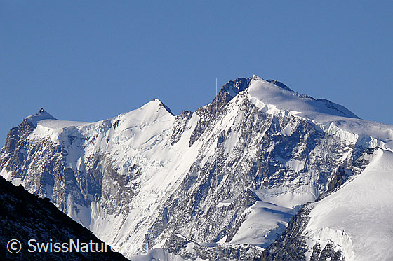 Foto: Signalkuppe, Zumsteinspitze, Dufourspitze und Nordend.