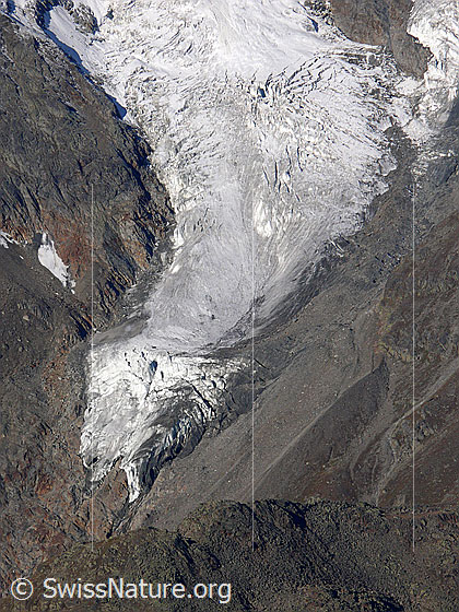 Foto: Gletscherzunge des Hohbalmgletschers.