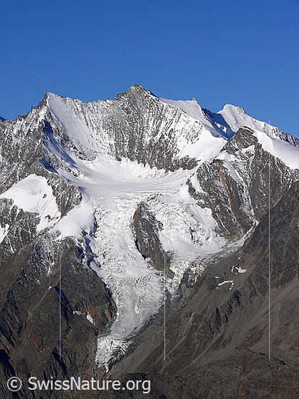 Foto: Hoberghorn, Lenzspitze, Nadelhorn, Stecknadelhorn und Hohbalmgletscher.