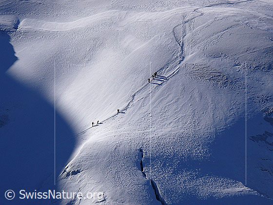 Foto: Alpinisten im Aufstieg zum Weissmies. Gletscher:Triftgletscher.