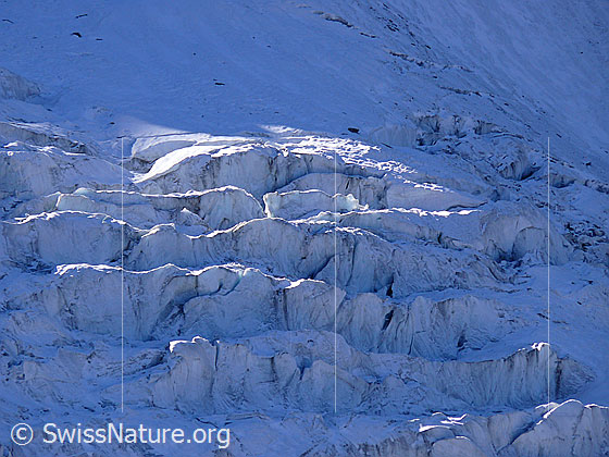 Foto: Gletscherabbruch im Triftgletscher.