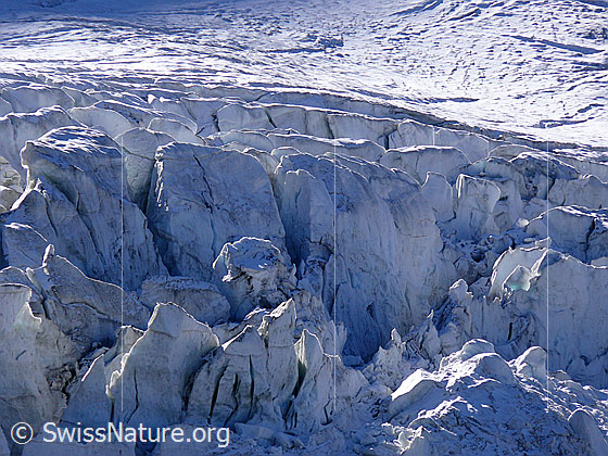 Foto: Gletscherplateau und Gletscherabbruch im Triftgletscher.