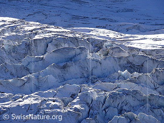 Foto: Licht und Schatten auf dem Gletscherabbruch im Triftgletscher.