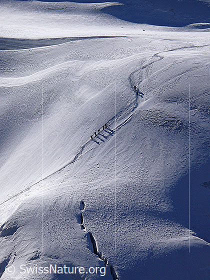 Foto: Aufstiegsspur auf dem Triftgletscher zum Gipfel des Weissmies. In der Spur ist eine Seilschaft erkennbar und im Vordergrund ist eine Gletscherspalte zu sehen.