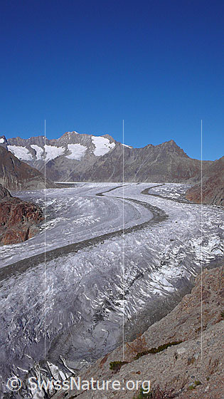 Foto: Blick über den Aletschgletscher zu Schönbühlhorn, Gross Wannenhorn, Klein Wannenhorn und Strahlhorn.