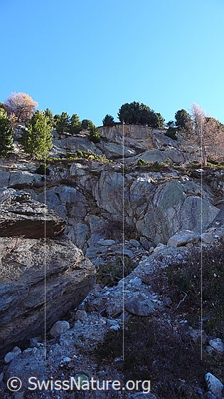 Foto: Felssturz mit frischer Abbruchstelle.