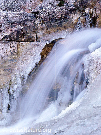 Foto: Wasserfall im Eis. Feine Wasserstrahlen fallen über eine Stufe im Bergbach. Das Spritzwasser gefriert zu Eisgebilden.