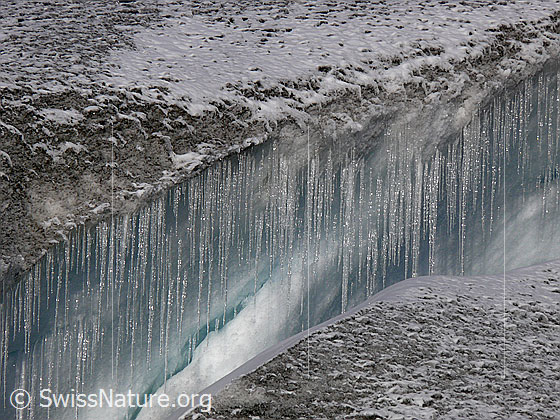 Foto: Eiszapfen in Spalte am Gletscherrand.
