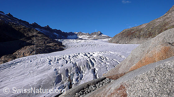 Foto: Rhonegletscher und Hintere Gelmerhörner. Im Gletscher sind Querspalten zu sehen.

