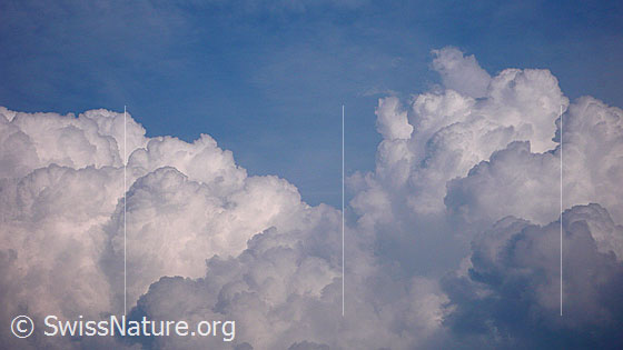 Foto: Wolkenturm. Mächtige Gewitterwolken türmen sich auf.