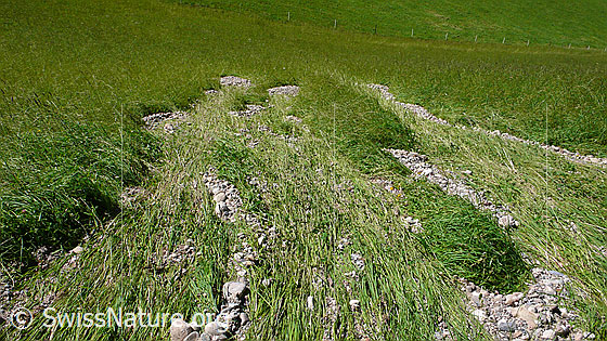 Foto: Unwetterschaden. Diese Wiese wurde mit Wasser und Kies überschwemmt.