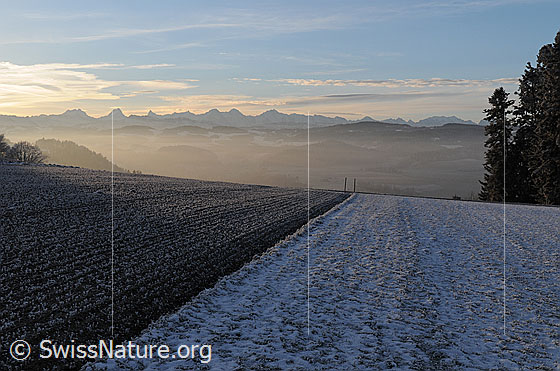 Foto: Acker mit Raureif im Morgenlicht. Im Hintergrund die Berner Alpen. Darüber Wolkenfelder.