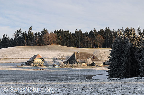 Foto: Winterliche Raureiflandschaft im Morgenlicht mit Bauernstöckli, Bauernhof und Tannenwald im Emmental.