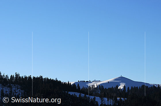 Foto: Winterlandschaft im Emmental. Auf der Anhöhe über dem lichten Tannenwald ist der Bauernhof Vorderarni mit schneebedeckten Dächern und ein Hügel mit Baum zu sehen.