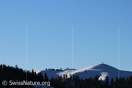Foto: Winterlandschaft im Emmental. Auf der Anhöhe über dem lichten Tannenwald ist der Alpbetrieb Vorderarni mit schneebedeckten Dächern und ein Hügel mit Baum zu sehen.