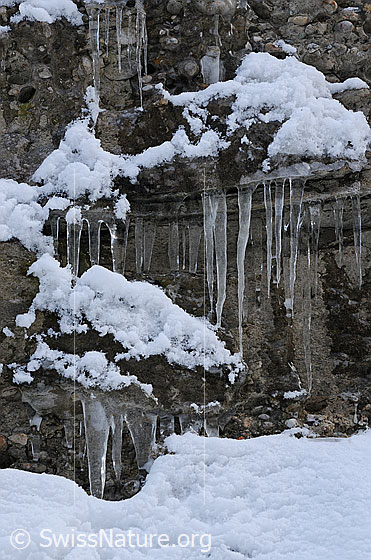 Foto: Eiszapfen und Schnee in Nagelfluhwand.