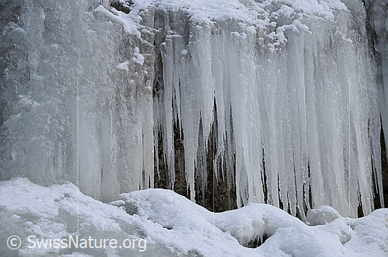Foto: Vereiste Nagelfluhwand mit wenige Schnee auf dem gestuften Gelände.