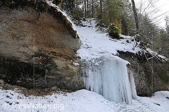 Foto: Kleiner Eisfall im Emmental. Während kalten Tagen ist das Wasser, welches sonst als kleiner Bach über die Nagelfluhstufe fliesst, eingefroren.