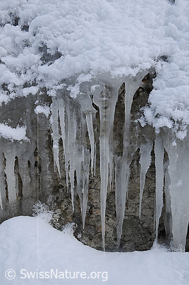 Foto: Eiszapfen und Schnee haften an einer Nagelfluhstufe.