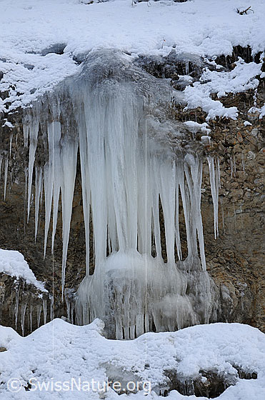 Foto: Ein Eisfall mit langen Eiszapfen ergiesst sich über die Nagelfluhwand.