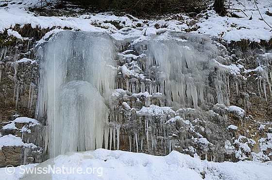 Foto: Nagelfluhstufe mit kleinem Eisfall und Eiszapfen.