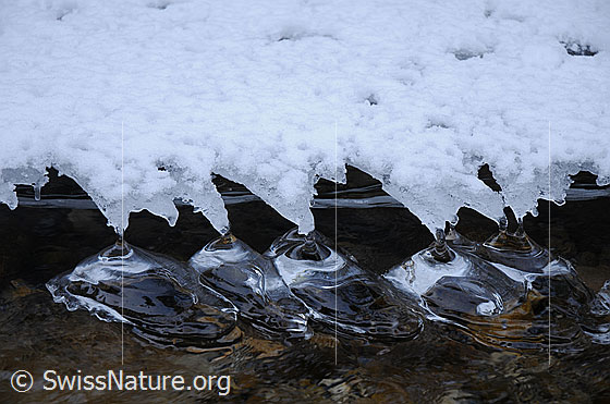 Foto: Eisskulpturen (Eisbirnen) im Wasser. Durch das Abschmelzen der Eisdecke haben sich im seichten Wasser Kunstwerke aus klarem Eis gebildet.