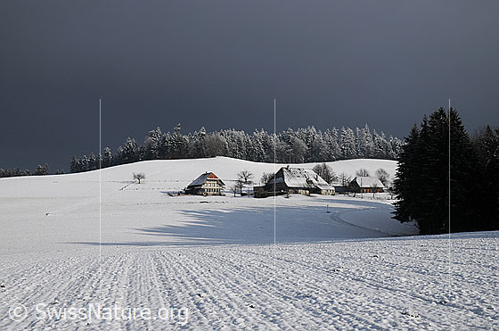 Foto: Weiler in Winterlandschaft. Blick über eine weite Schneefläche mit Struktur zu einem Bauernhof. Im Hintergrund ein frisch verschneiter Tannenwald.