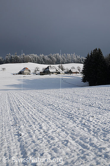 Foto: Weiler in Winterlandschaft. Blick über ein schneebedecktes Feld zu einem Bauernhof mit Stöckli und frisch verschneitem Tannenwald im Hintergrund.
