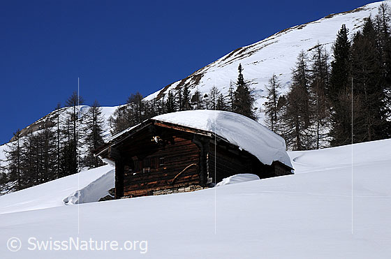 Foto: Winterlandschaft mit Alphütte. Alphütte mit dicker Schneeschicht auf dem Dach und von einer unberührter Schneefläche umgeben. Im Hintergrund Berghänge und lichter Wald.