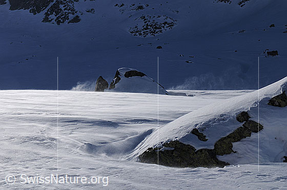 Foto: Schneefläche mit Felsblöcken an welchen der Wind lockeren Schnee aufwirbeln lässt.