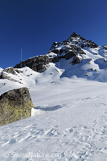 Foto: Blick zum Ofenhorn, Binntal. Im Vordergrund ragt ein Felsblock aus dem Schnee.