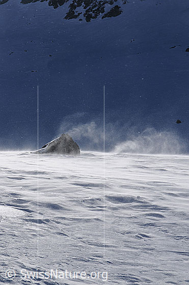 Foto: Felsblock im Föhnsturm. Der Schnee wird vom starken Wind aufgewirbelt, verfrachtet und wieder abgelagert.