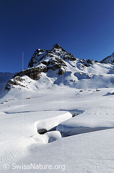 Foto: Berg und zugeschneiter Bach. Ofenhorn und Scheefläche mit offenen Stellen, in welchen ein Bergbach verläuft.