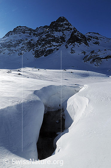 Foto: Offene Stelle in eingeschneitem Bach. Es haben sich Wächten gebildet. Im Hintergrund ist das Albrunhorn zu sehen.